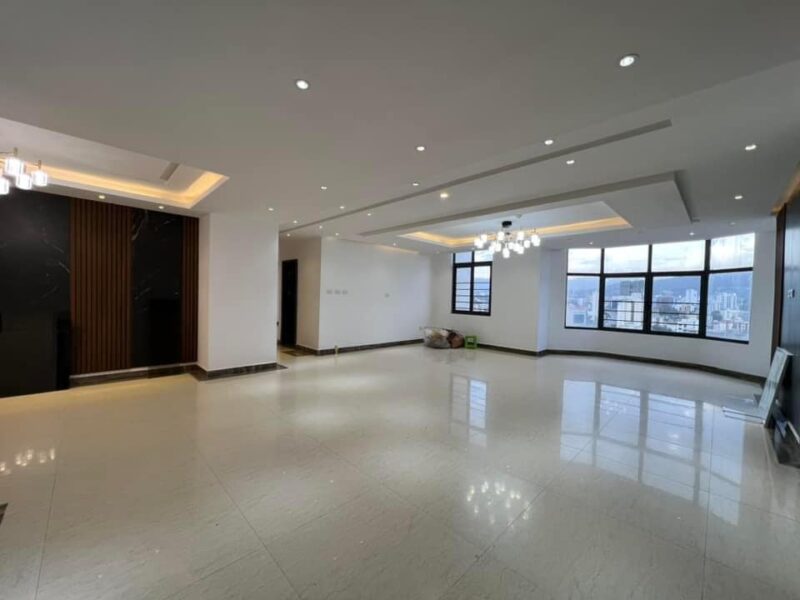 Penthouse for rent in addis ababa bole